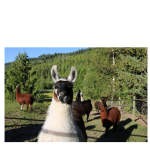 Website Logos for Directory 25 150x150