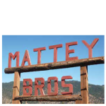 Website Logos for Directory 9 150x150